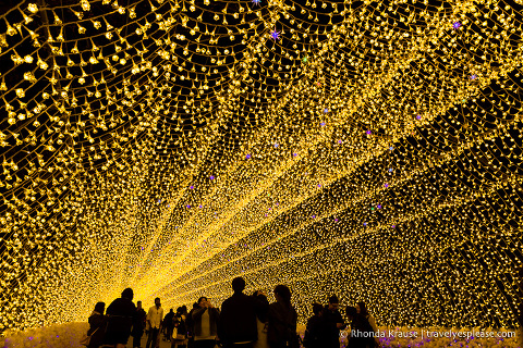 travelyesplease.com | Nabana no Sato Winter Illumination- A Stunning Light Festival in Japan