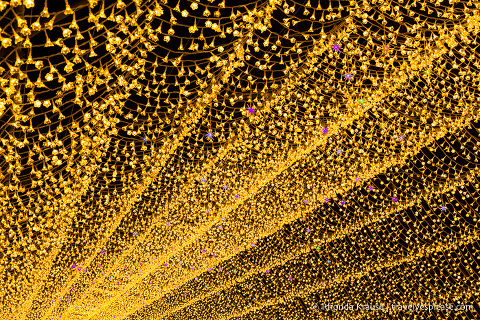 travelyesplease.com | Nabana no Sato Winter Illumination- A Stunning Light Festival in Japan