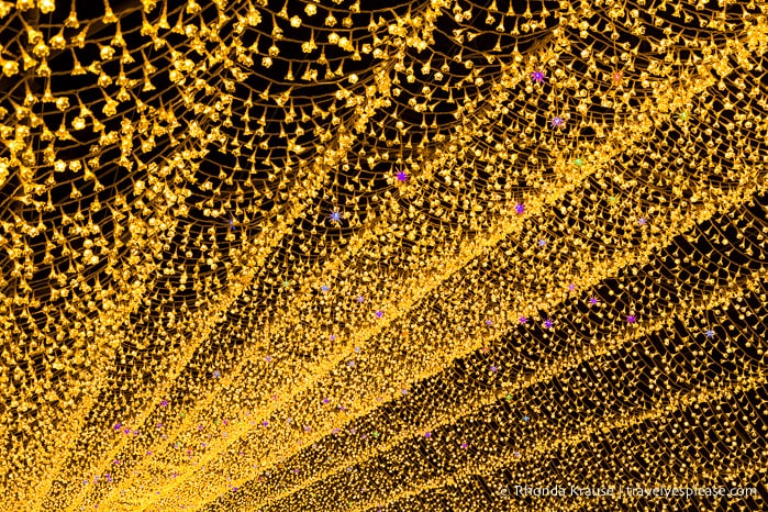 travelyesplease.com | Nabana no Sato Winter Illumination- A Stunning Light Festival in Japan