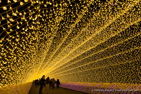 travelyesplease.com | Nabana no Sato Winter Illumination- A Stunning Light Festival in Japan