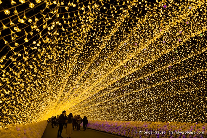 travelyesplease.com | Nabana no Sato Winter Illumination- A Stunning Light Festival in Japan