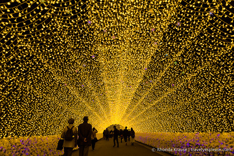 travelyesplease.com | Nabana no Sato Winter Illumination- A Stunning Light Festival in Japan