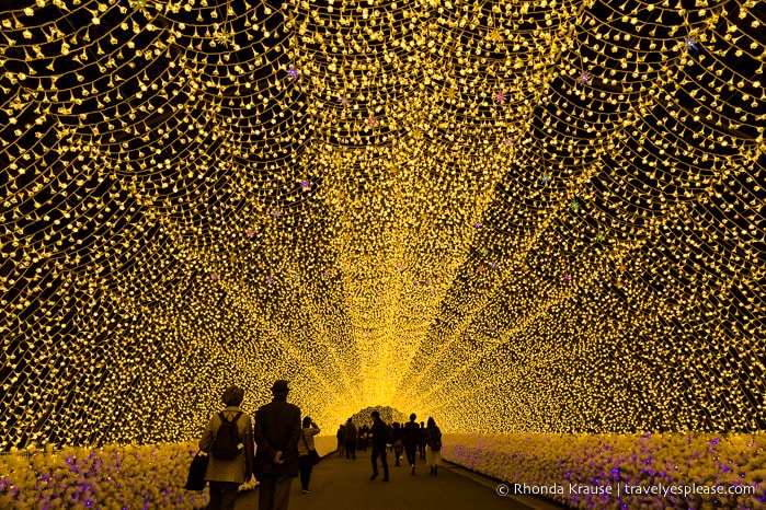 Nabana no Sato Winter Illumination- A Spectacular Light Festival in Japan