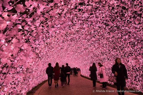 travelyesplease.com | Nabana no Sato Winter Illumination- A Stunning Light Festival in Japan