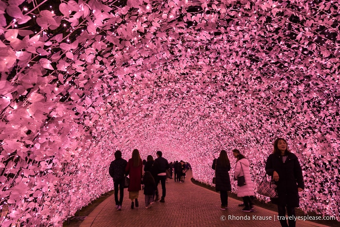 travelyesplease.com | Nabana no Sato Winter Illumination- A Stunning Light Festival in Japan