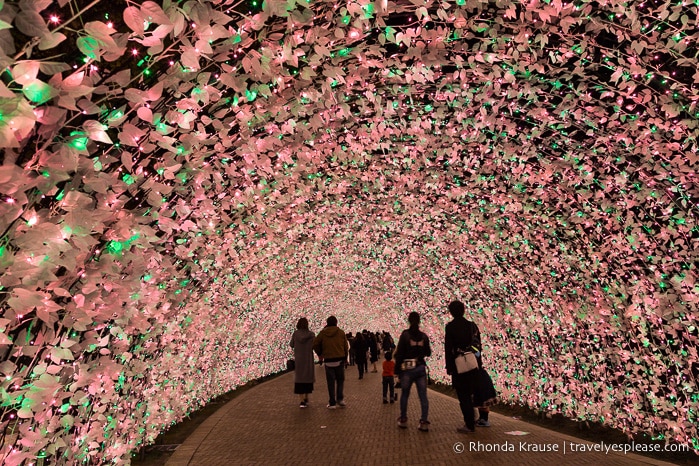 travelyesplease.com | Nabana no Sato Winter Illumination- A Stunning Light Festival in Japan