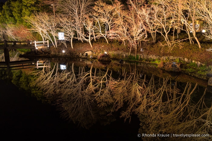 travelyesplease.com | Nabana no Sato Winter Illumination- A Stunning Light Festival in Japan