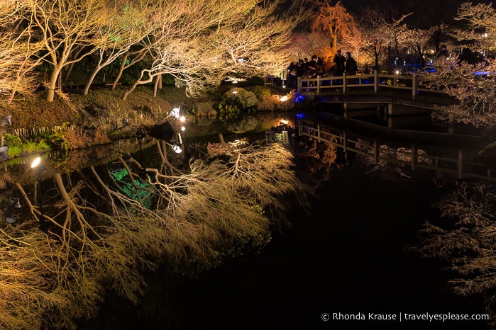 travelyesplease.com | Nabana no Sato Winter Illumination- A Stunning Light Festival in Japan