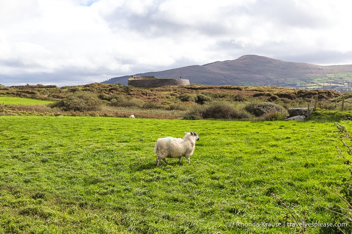 travelyesplease.com | Visiting Cahergall and Leacanabuaile- Irish Stone Ringforts