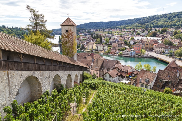 travelyesplease.com | 7 Wonderful Things to do in Schaffhausen, Switzerland