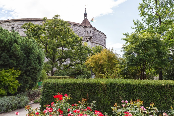 travelyesplease.com | 7 Wonderful Things to do in Schaffhausen, Switzerland