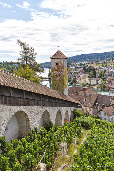 travelyesplease.com | 7 Wonderful Things to do in Schaffhausen, Switzerland