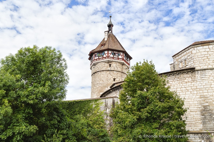 travelyesplease.com | 7 Wonderful Things to do in Schaffhausen, Switzerland