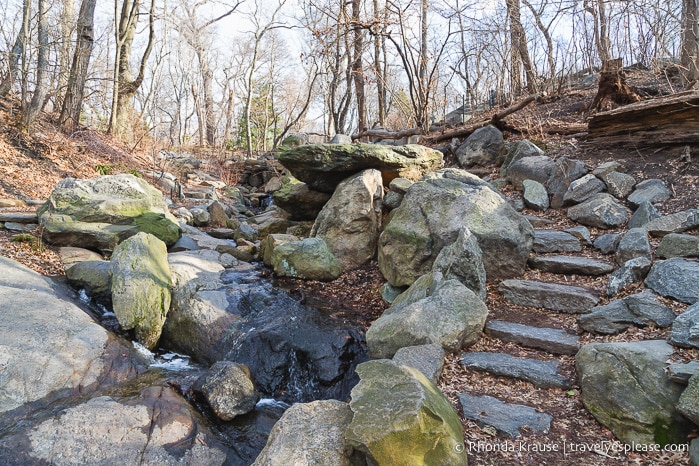 travelyesplease.com | Central Park Self-Guided Walking Tour- What to See in Central Park 