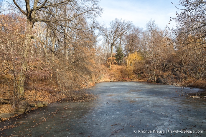 travelyesplease.com | Central Park Self-Guided Walking Tour- Best Attractions in Central Park