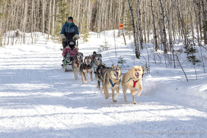 travelyesplease.com | Winter Getaway in Saskatchewan- Prince Albert National Park and Elk Ridge Resort