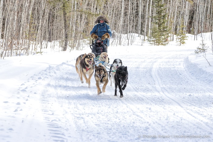 travelyesplease.com | Winter Getaway in Saskatchewan- Prince Albert National Park and Elk Ridge Resort