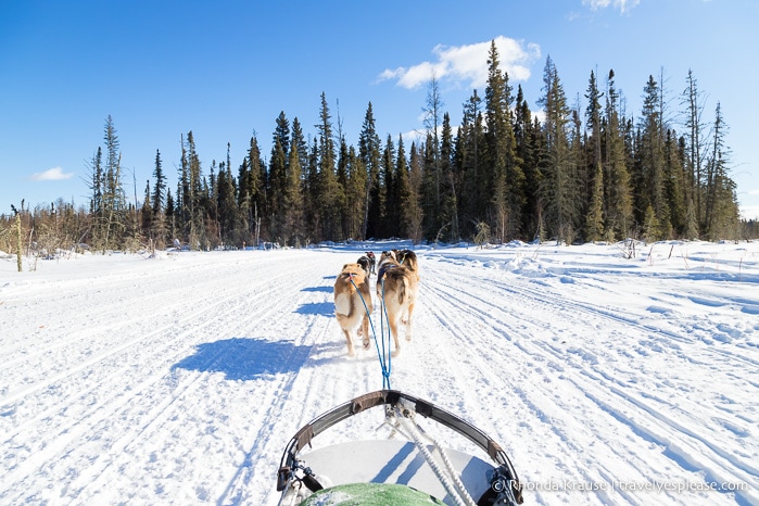 Winter Getaway in Saskatchewan- Prince Albert National Park and Elk Ridge Resort