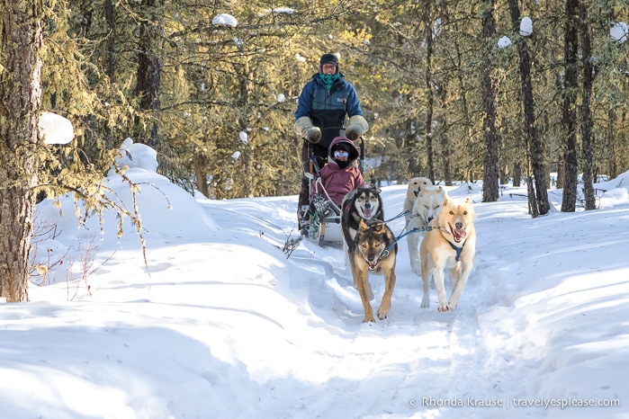 travelyesplease.com | Winter Getaway in Saskatchewan- Prince Albert National Park and Elk Ridge Resort