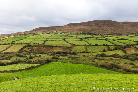 travelyesplease.com | Driving the Dingle Peninsula- Places to See During a Self-Guided Tour