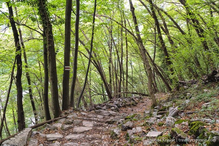 travelyesplease.com | Hiking Down Monte Brè- Switzerland's Sunniest Mountain