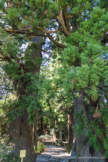 travelyesplease.com | Exploring Nachisan- A Sacred Mountain Site on the Kumano Kodo Pilgrimage