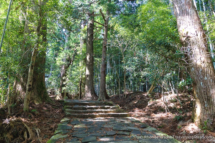 travelyesplease.com | Exploring Nachisan- A Sacred Mountain Site on the Kumano Kodo Pilgrimage