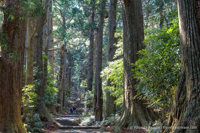 travelyesplease.com | Exploring Nachisan- A Sacred Mountain Site on the Kumano Kodo Pilgrimage