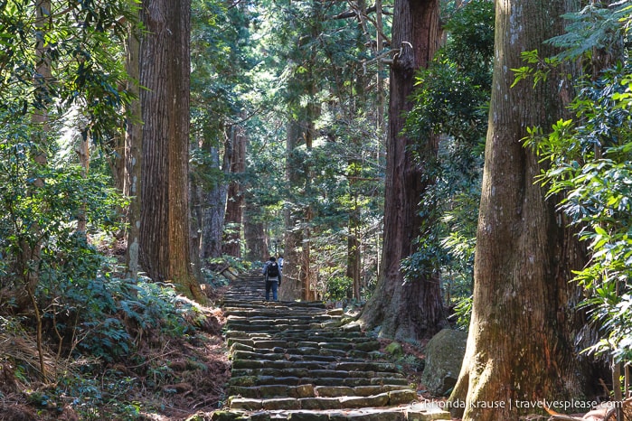 travelyesplease.com | Exploring Nachisan- A Sacred Mountain Site on the Kumano Kodo Pilgrimage