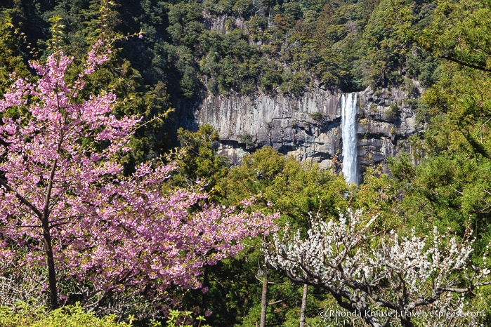 travelyesplease.com | Exploring Mt. Nachi- A Sacred Mountain Site on the Kumano Kodo Pilgrimage