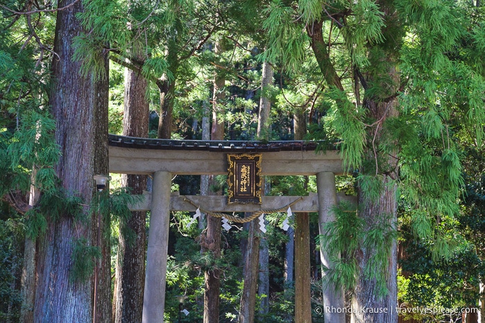 travelyesplease.com | Exploring Nachisan- A Sacred Mountain Site on the Kumano Kodo Pilgrimage