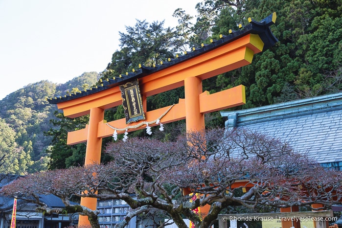 travelyesplease.com | Exploring Nachisan- A Sacred Mountain Site on the Kumano Kodo Pilgrimage