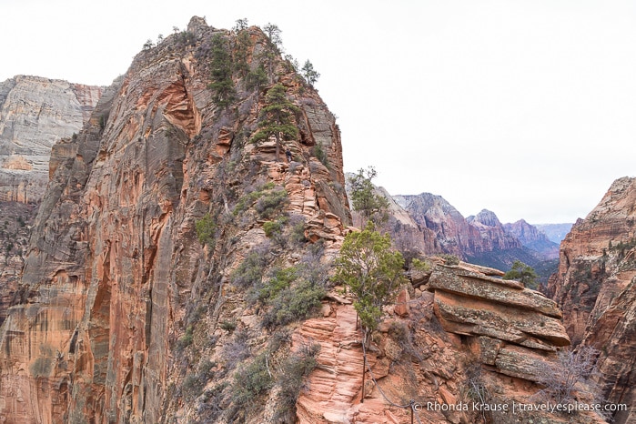 travelyesplease.com | Hiking Angels Landing Trail- What to Expect on Zion National Park's Most Iconic Hike