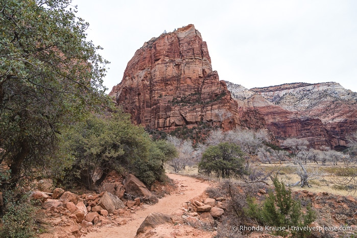 travelyesplease.com | Angels Landing Trail- What to Expect on Zion National Park's Most Thrilling Hike