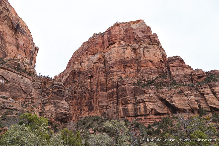 travelyesplease.com | Hiking Angels Landing Trail- What to Expect on Zion National Park's Most Iconic Hike