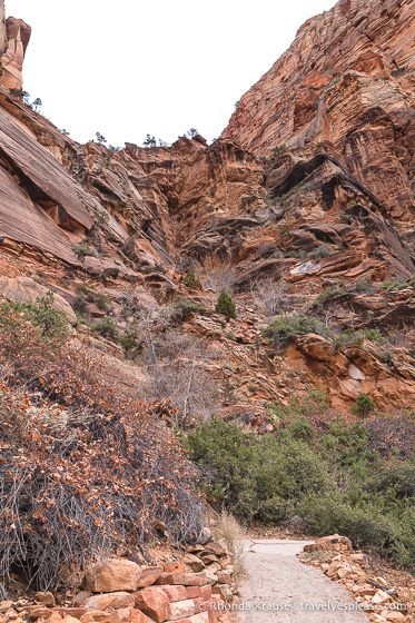 travelyesplease.com | Angels Landing Hike- What to Expect on Zion National Park's Most Thrilling Trail