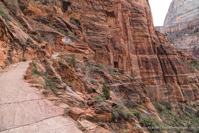 travelyesplease.com | Angels Landing Trail- What to Expect on Zion National Park's Most Thrilling Hike