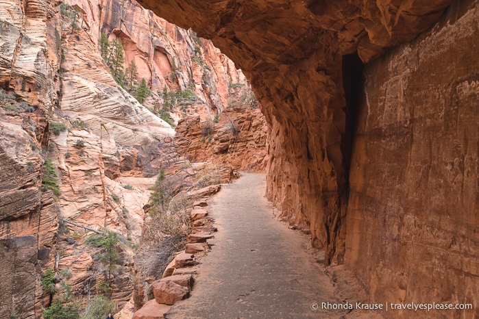 travelyesplease.com | Angels Landing Trail- What to Expect on Zion National Park's Most Thrilling Hike