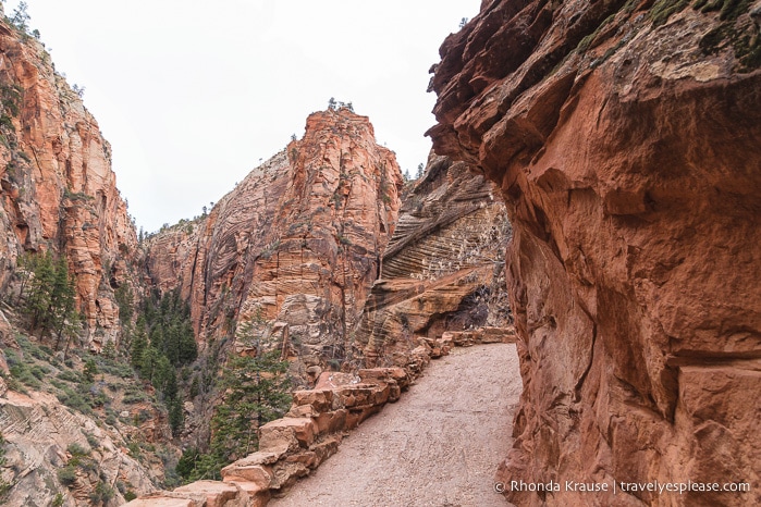 travelyesplease.com | Angels Landing Trail- What to Expect on Zion National Park's Most Thrilling Hike