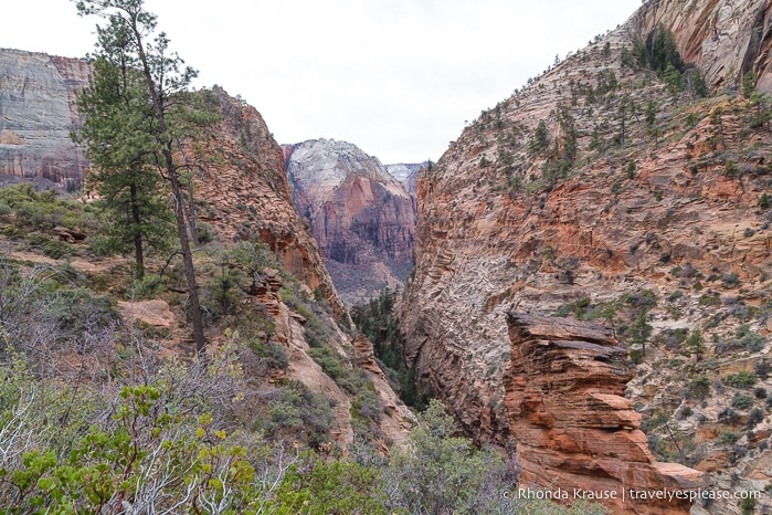 travelyesplease.com | Angels Landing Trail- What to Expect on Zion National Park's Most Thrilling Hike