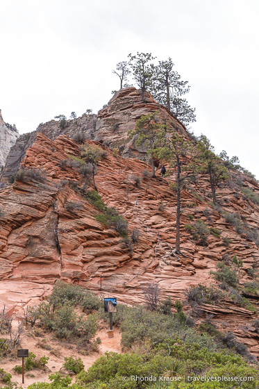 travelyesplease.com | Angels Landing Trail- What to Expect on Zion National Park's Most Thrilling Hike