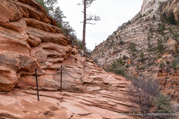 travelyesplease.com | Angels Landing Trail- What to Expect on Zion National Park's Most Thrilling Hike