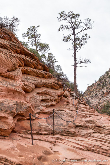 travelyesplease.com | Hiking Angels Landing Trail- What to Expect on Zion National Park's Most Iconic Hike