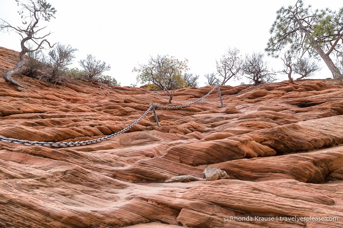 travelyesplease.com | Angels Landing Hike- What to Expect on Zion National Park's Most Thrilling Trail