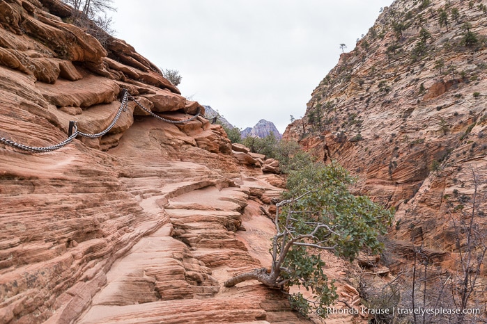 travelyesplease.com | Angels Landing Trail- What to Expect on Zion National Park's Most Thrilling Hike