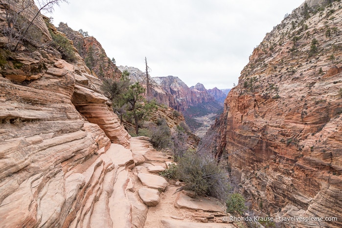 travelyesplease.com | Hiking Angels Landing Trail- What to Expect on Zion National Park's Most Iconic Hike