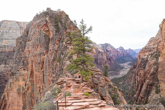 travelyesplease.com | Hiking Angels Landing Trail- What to Expect on Zion National Park's Most Iconic Hike