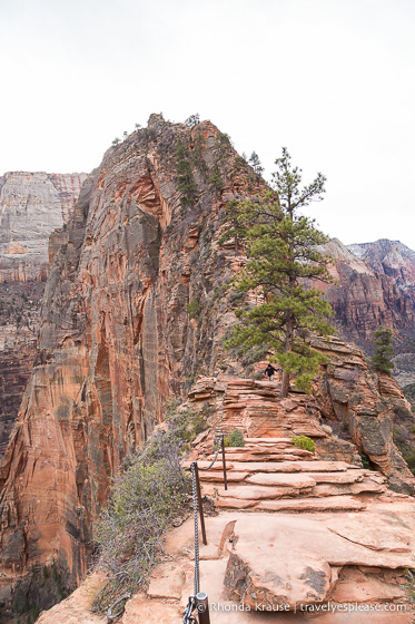 travelyesplease.com | Angels Landing Hike- What to Expect on Zion National Park's Most Thrilling Trail