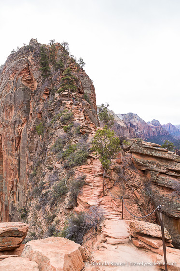 travelyesplease.com | Angels Landing Trail- What to Expect on Zion National Park's Most Thrilling Hike