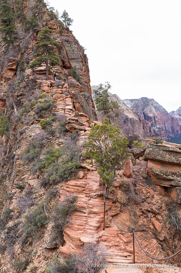 travelyesplease.com | Hiking Angels Landing Trail- What to Expect on Zion National Park's Most Iconic Hike